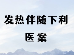 发热伴随下利~顾中医案
