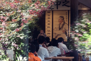 中道之医启航班介绍